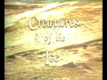 Ζαν-Μισέλ Κουστώ - Ιστορίες της Θάλασσας (Επ.2) Τα Πλάσματα του Πάγου (Creatures of the Ice) 9