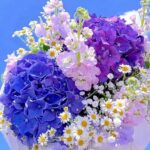 Καλημέρα φίλοι... Follow #flowers #garden #roses #colors Ακολουθήστε τ...