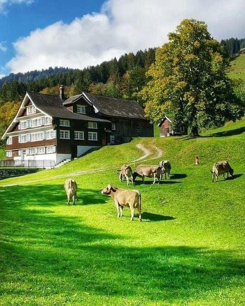 Appenzell, Ελβετία 1