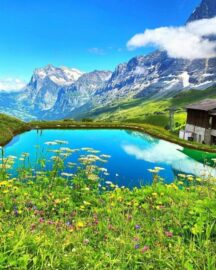 Beauty of Switzerland : @m.wald.1224...