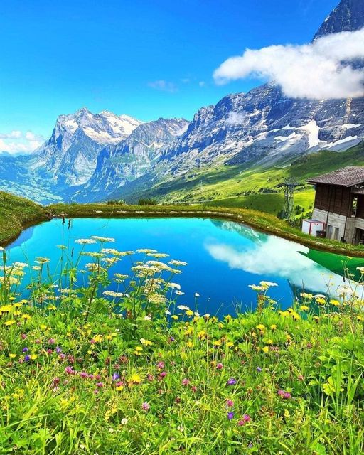 Beauty of Switzerland : @m.wald.1224... 1