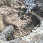 Λέσβος: Βρέθηκε απολιθωμένο δένδρο 20.000.000 ετών μαζί με τα κλαδιά του!...