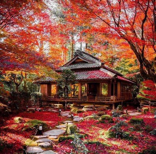 Ομορφιά της Ιαπωνίας... 1
