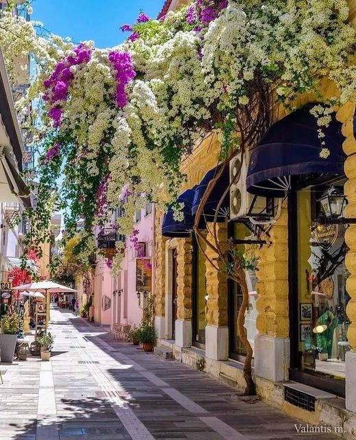 Πανέμορφο δρομάκι στο Ναύπλιο, Ελλάδα @minogiannisvalantis... 1