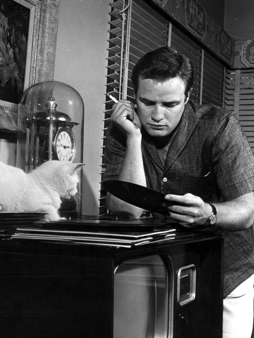 Ο Μάρλον Μπράντο ακούει μουσική με τη γάτα του... 2