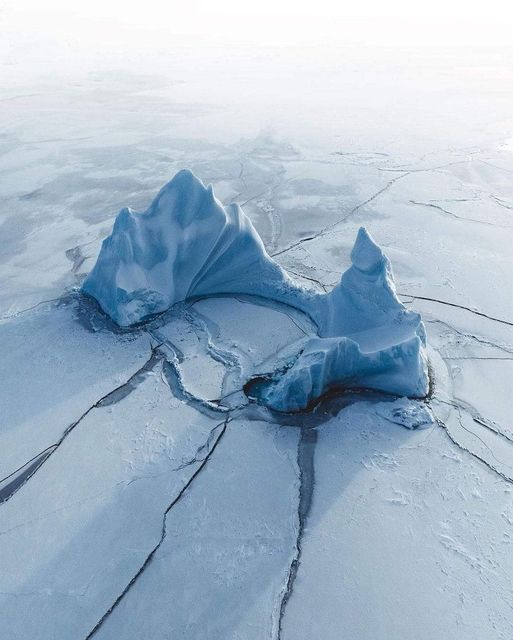 Greenland kylevollaers... 1