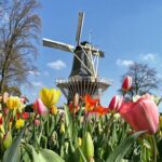 Η Lisse, Ολλανδία… είναι διάσημη για τα όμορφα χωράφια και τους βολβούς λουλουδιών της...