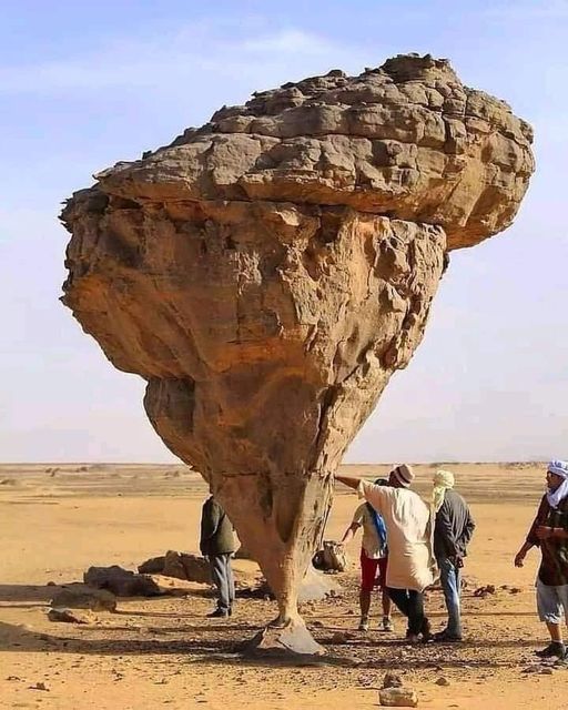 Μανιτάρι βράχος, έρημος της Αλγερίας... 1