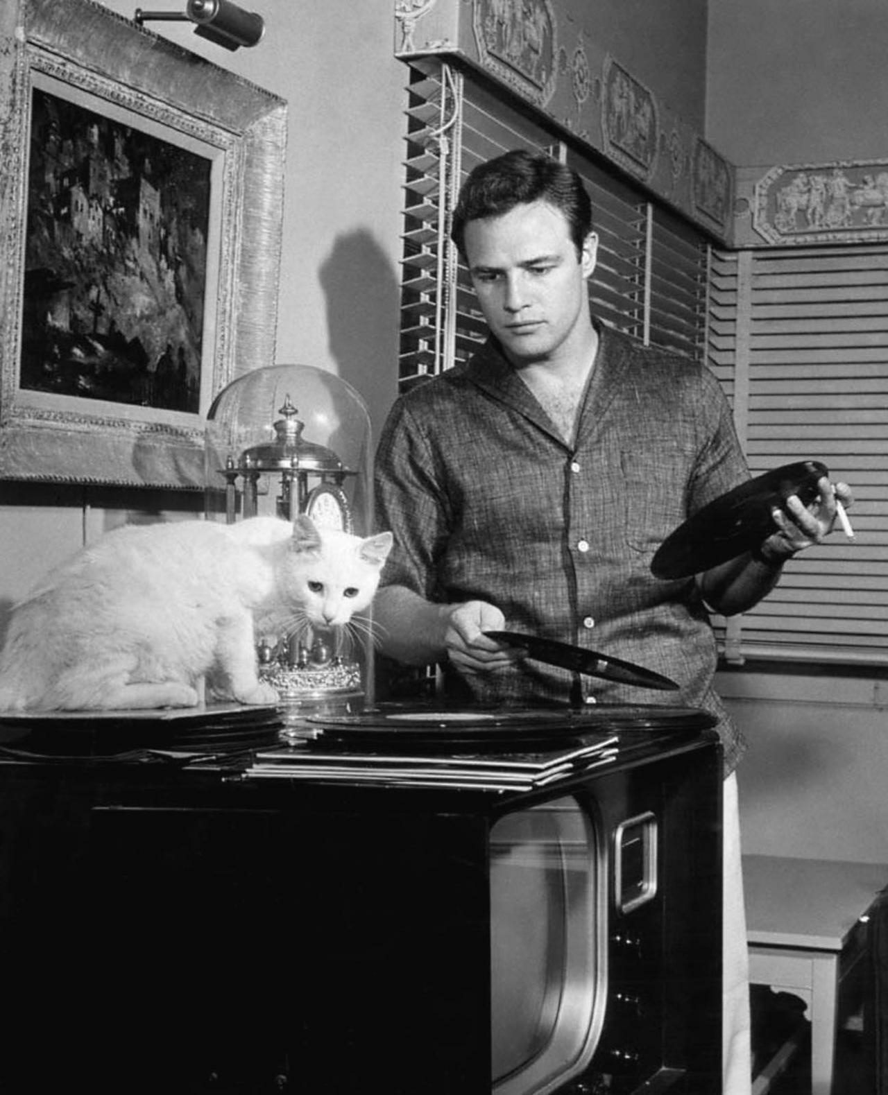 Ο Μάρλον Μπράντο ακούει μουσική με τη γάτα του... 1