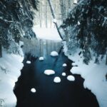 Σκοτεινός μη παγωμένος ποταμός που ρέει μέσα από τα δάση στην Κεντρική Φινλανδία...
