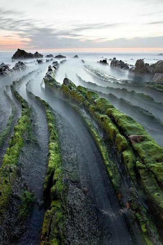 Winding Rocks, Scottish Island : @Nikolis Anna #YourEarth #nature #rockformatio... 1