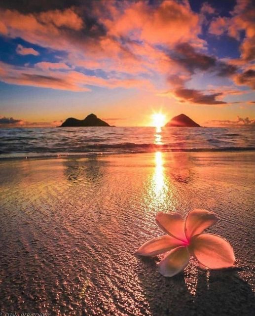 Η Χαβάη Instagram.com/benmuldersunsets #hawaii #hawaiilife... 1