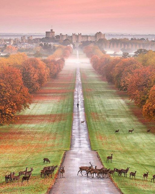 Κάστρο Windsor, Ηνωμένο Βασίλειο #WindsorCastle #unitedkingdom #uk... 1