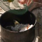 Παραλίγο να φάνε δηλητηριώδες ψάρι οι Κόκκινοι | Survivor | 01/05/2022