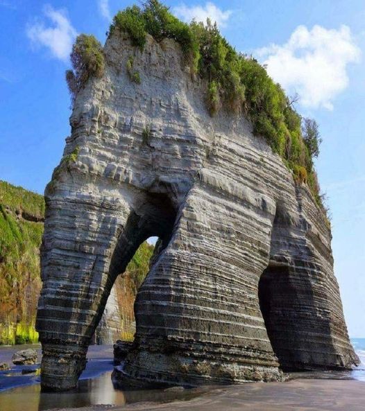 Elephant Rock στη Νέα Ζηλανδία... 1
