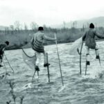 Ψάρεμα στον ποταμό Mures, Ρουμανία, 1963....