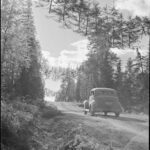 Καμουφλαρισμένος δρόμος στη Φινλανδία κατά τη διάρκεια του 2ου Παγκοσμίου Πολέμου.  Τα δέντρα είναι κρεμασμένα με σχοινί τόσο εχθρός...