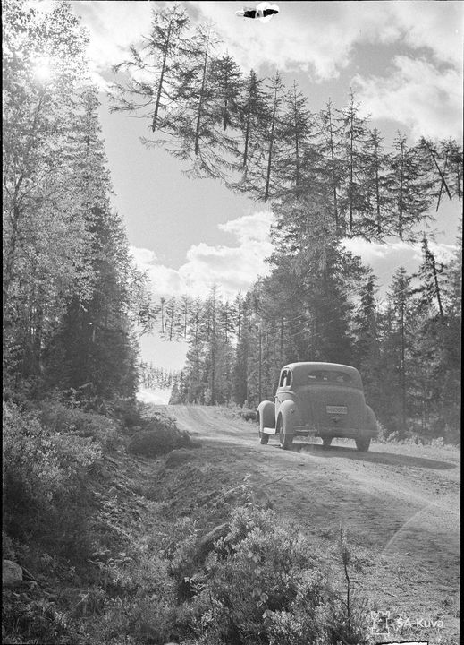 Καμουφλαρισμένος δρόμος στη Φινλανδία κατά τη διάρκεια του 2ου Παγκοσμίου Πολέμου. Τα δέντρα είναι κρεμασμένα με σχοινί τόσο εχθρός... 1
