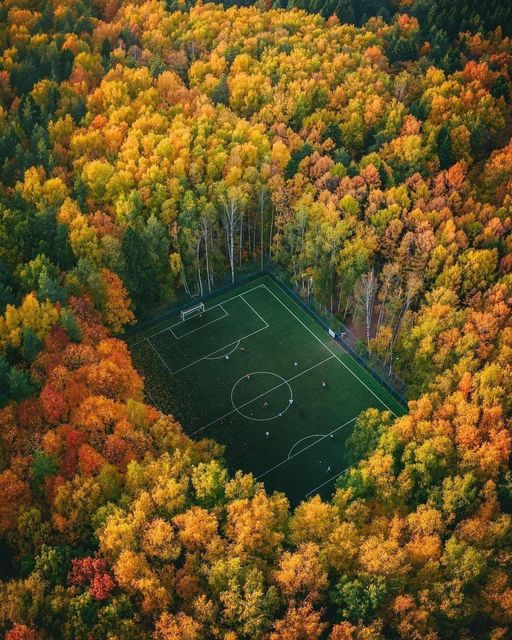 Κοντά στη Μόσχα, στο πάρκο Meschersky, υπάρχει αυτό το γήπεδο...... 1