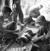 Αμερικανικά στρατεύματα περιθάλπουν έναν τραυματισμένο σκύλο στη χερσόνησο Orote, 1944. Περισσότερες φωτογραφίες από το T...