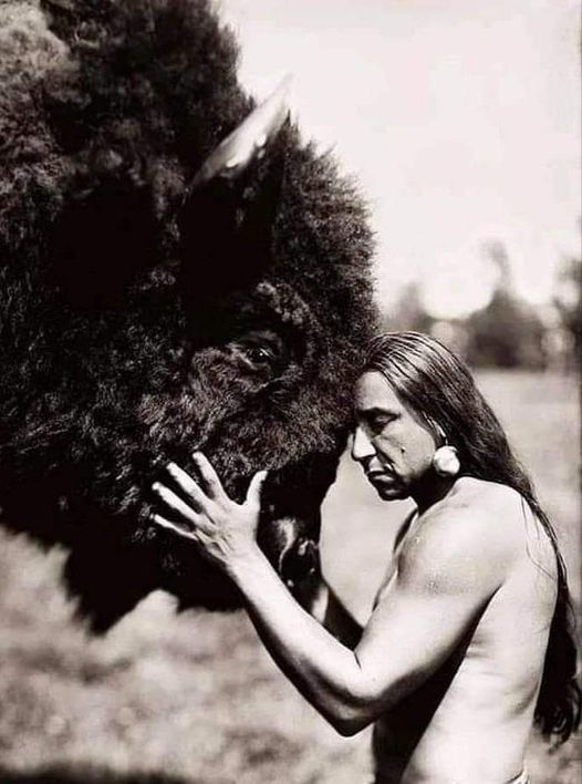 Για τους Lakota, η συγγένεια με όλα τα πλάσματα ήταν αρχή. 1