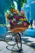 Ένα καλάθι ανθόκηπος γεμάτο χρώμα και ευωδιές σε ποδήλατο είναι το επιστέγασμα τ...