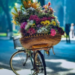 Ένα καλάθι ανθόκηπος γεμάτο χρώμα και ευωδιές σε ποδήλατο είναι το επιστέγασμα τ...