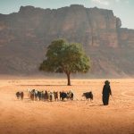 «Η έρημος Wadi Rum είναι ένα από τα πιο φωτογενή μέρη που έχω εξερευνήσει.  Εμείς μένουμε...