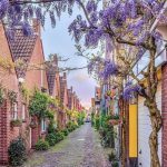 Η ομορφιά της Ολλανδίας...