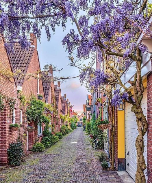 Η ομορφιά της Ολλανδίας... 1