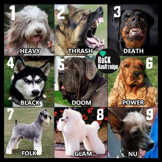 Με ποιο σκύλο ταυτίζεσαι;... 1