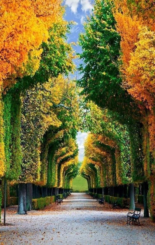 όμορφος κήπος Αυστρία... 1